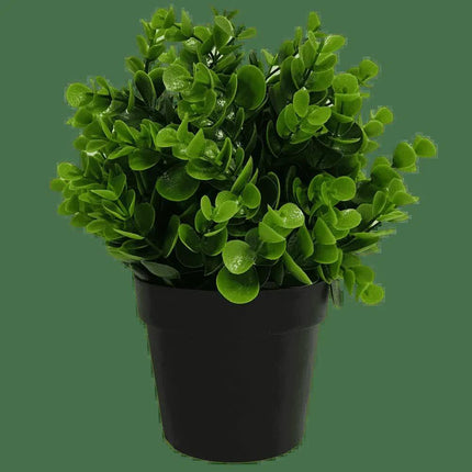 Home & Garden Cartoz.