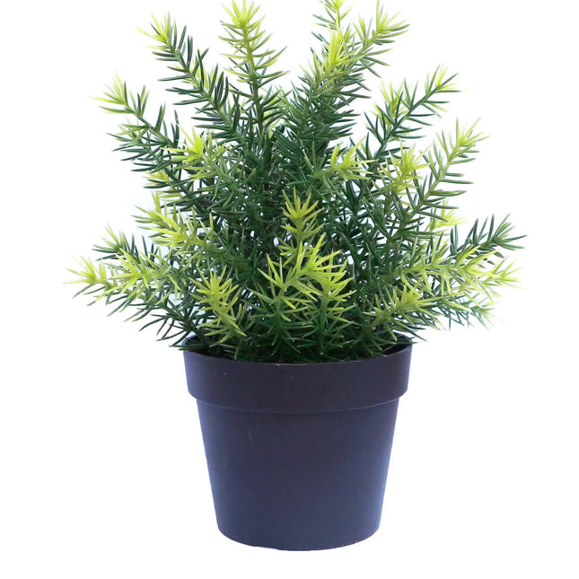 Small Potted Artificial Native Grass Plant UV Resistant 20cm.