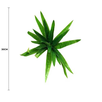 Aloe Vera Stem 30cm.