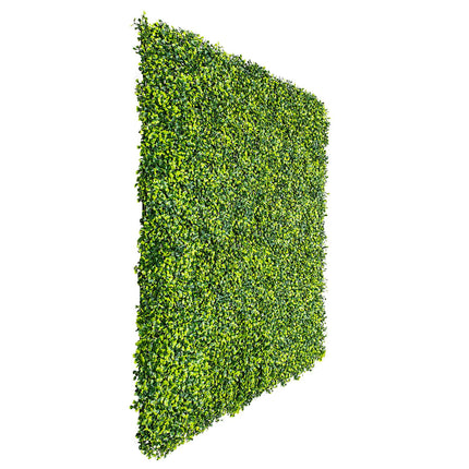 Mixed Boxwood Hedge Panels / Screens UV Resistant 1m X 1m.