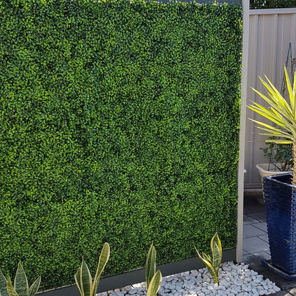 Mixed Boxwood Hedge Panels / Screens UV Resistant 1m X 1m.