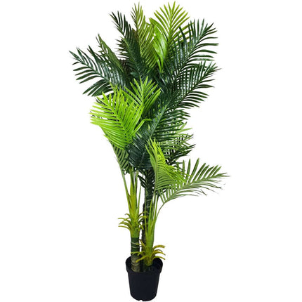 Multi Trunk Hawaii Palm 180cm.