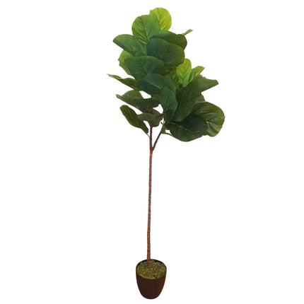 Tall Artificial Fiddle Leaf Fig 170cm.