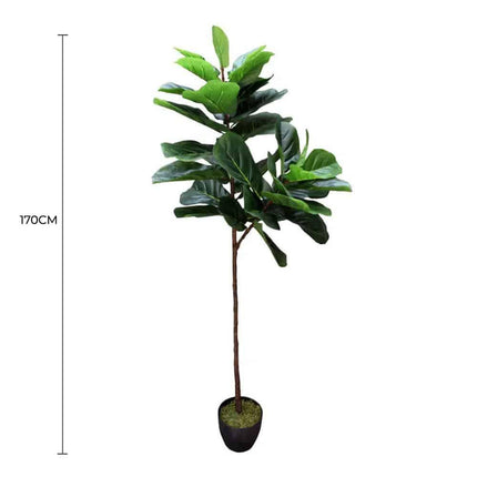 Tall Artificial Fiddle Leaf Fig 170cm.