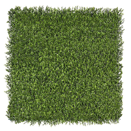 Premium Natural Buxus Hedge Panels UV Resistant 1m X 1m.