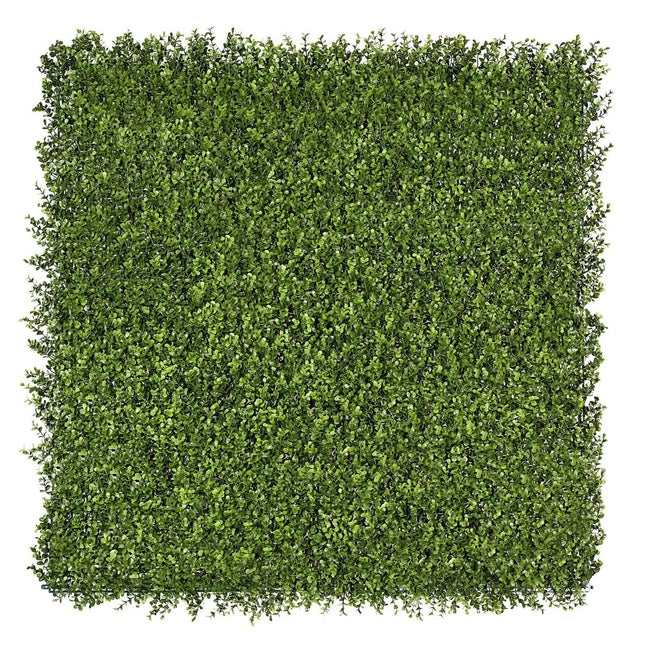 Premium Natural Buxus Hedge Panels UV Resistant 1m X 1m.
