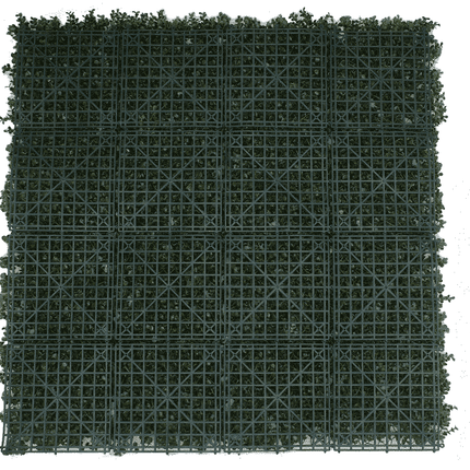 Premium Natural Buxus Hedge Panels UV Resistant 1m X 1m.