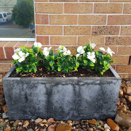 Home & Garden Cartoz.