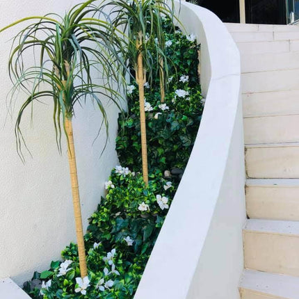 Home & Garden Cartoz.