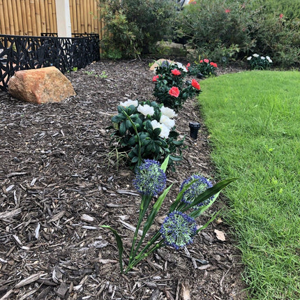 Home & Garden Cartoz.