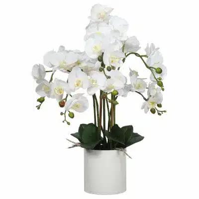 Large Multi-Stem White Potted Faux Orchid 65cm.