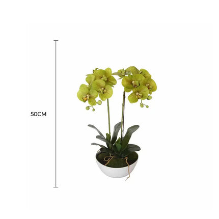 Two Stem Butterfly Artificial Orchid Cream 50cm.
