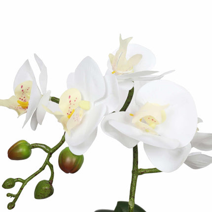 Potted Single Stem White Phalaenopsis Orchid with Decorative Pot 35cm.