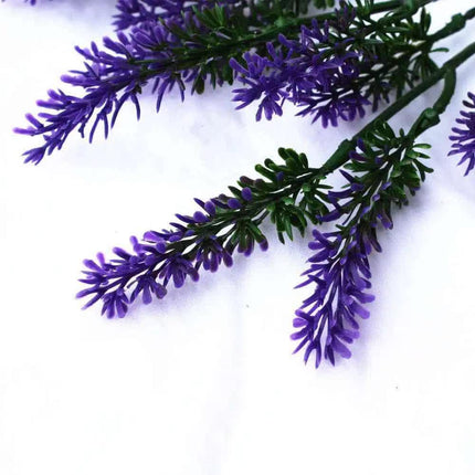 Home & Garden Cartoz.