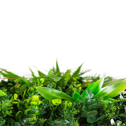 Wild Tropics Vertical Garden / Green Wall UV Resistant 100cm X 100cm.