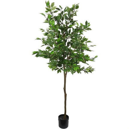 Artificial Potted Ficus Tree 160cm.