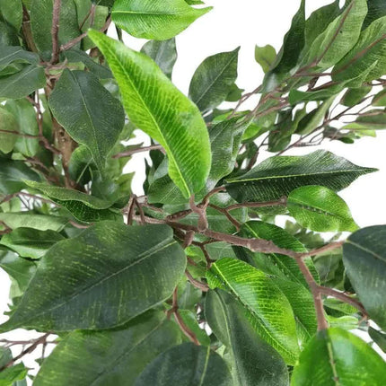 Artificial Potted Ficus Tree 160cm.