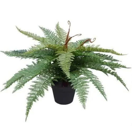 Artificial Potted Fishtail Fern 55cm.
