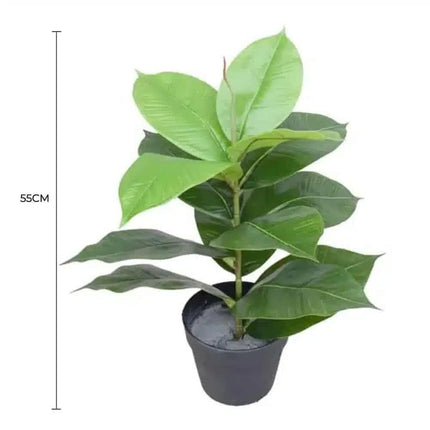 Artificial Potted Rubber Plant 55cm.