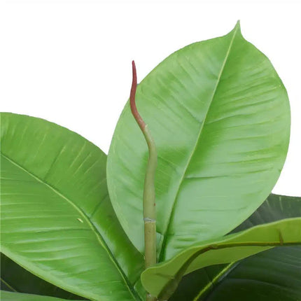Artificial Potted Rubber Plant 55cm.