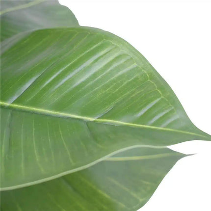 Artificial Potted Rubber Plant 55cm.