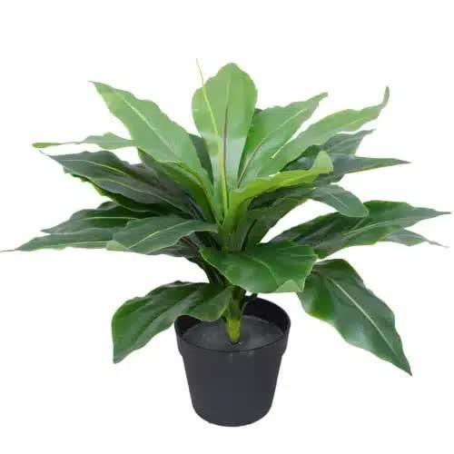 Artificial Potted Wide Leaf Birds Nest Fern 50cm.