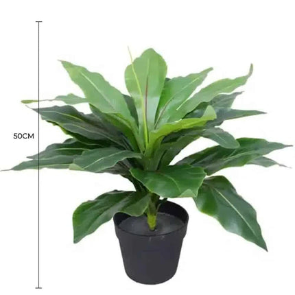 Artificial Potted Wide Leaf Birds Nest Fern 50cm.