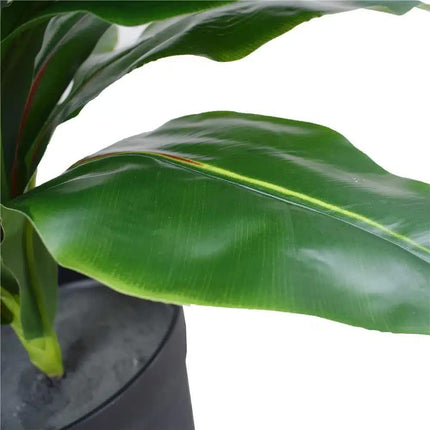 Artificial Potted Wide Leaf Birds Nest Fern 50cm.