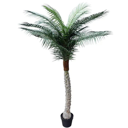 Tropical Phoenix Artificial Potted Palm Tree 190cm UV Resistant.