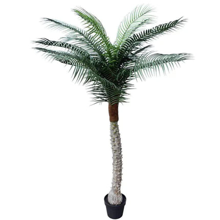 Tropical Phoenix Artificial Potted Palm Tree 190cm UV Resistant.