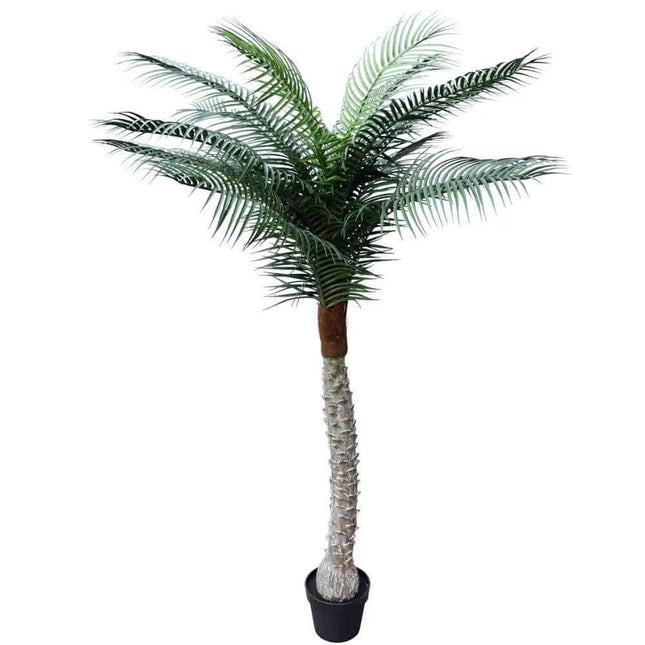 Tropical Phoenix Artificial Potted Palm Tree 190cm UV Resistant.