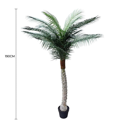 Tropical Phoenix Artificial Potted Palm Tree 190cm UV Resistant.