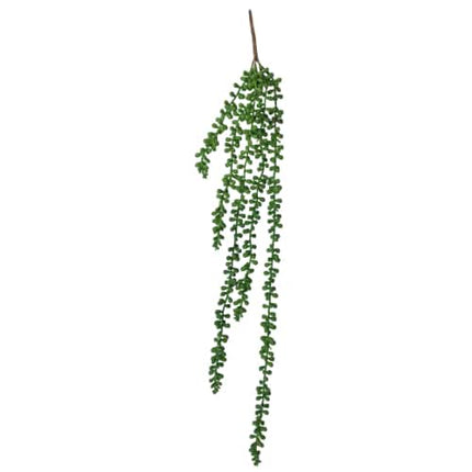 Hanging Succulent String Of Pearl Beads 75cm.