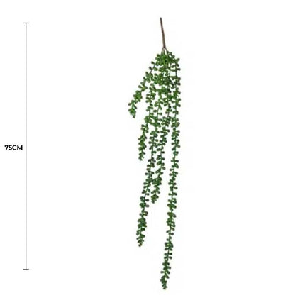 Hanging Succulent String Of Pearl Beads 75cm.