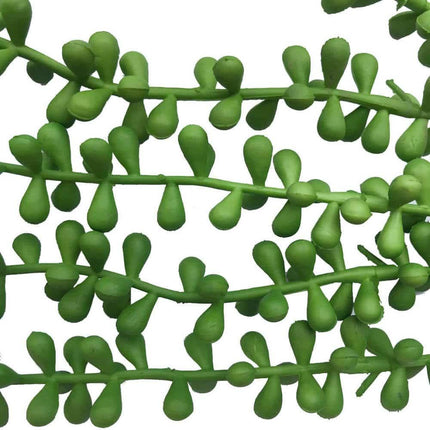 Hanging Succulent String Of Pearl Beads 75cm.
