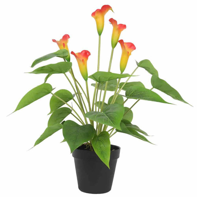Artificial Flowering White & Orange Peace Lily / Calla Lily Plant 50cm.