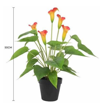Artificial Flowering White & Orange Peace Lily / Calla Lily Plant 50cm.