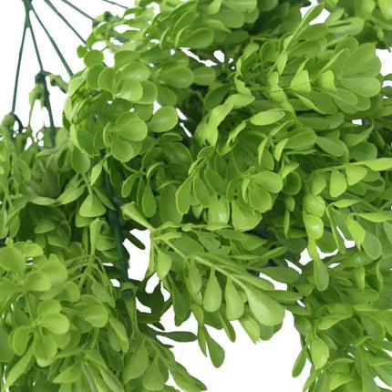Vivid Green Wide Eucalyptus Plant 32cm UV Resistant.