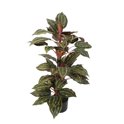Artificial Wide Leaf Cordyline Plant 90cm.
