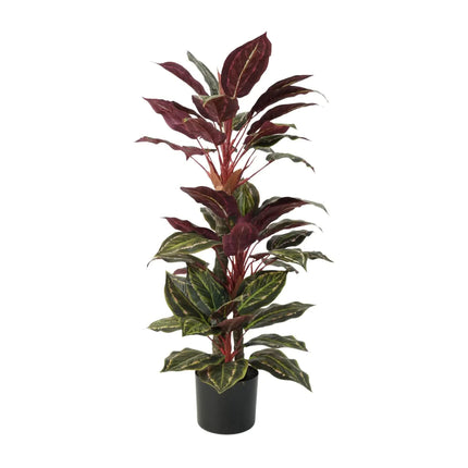 Artificial Wide Leaf Cordyline Plant 90cm.