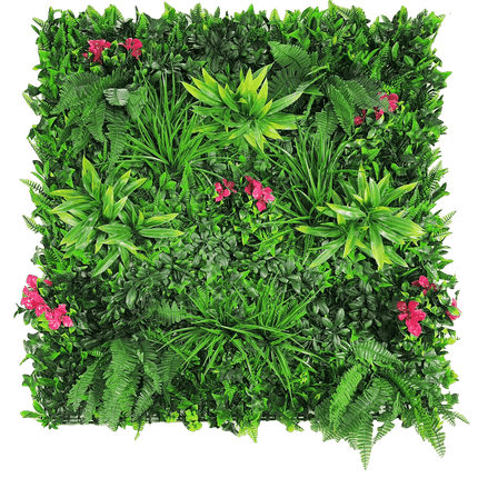 Home & Garden Cartoz.