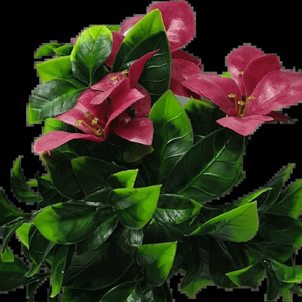 Home & Garden Cartoz.
