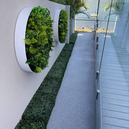 Portable Boxwood Hedge UV Resistant 25cm High 100cm Long.