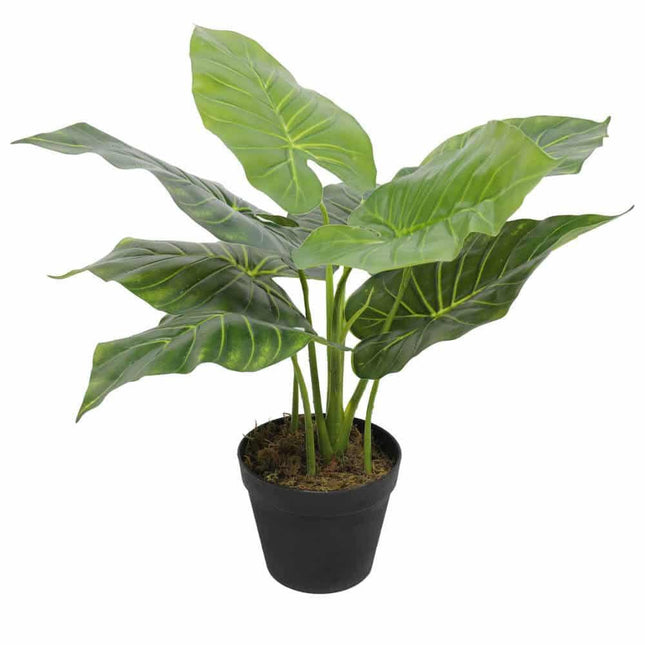 Artificial Potted Taro Plant / Elephant Ear 55cm.