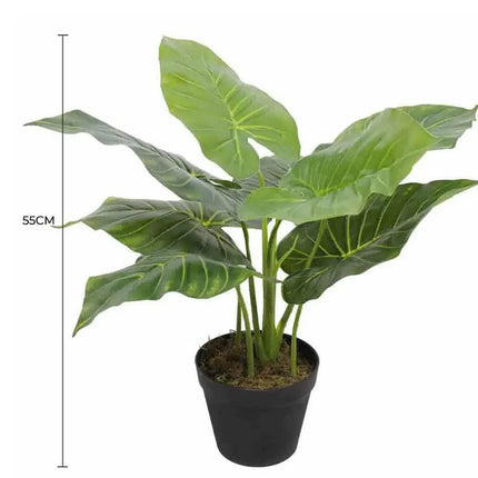 Artificial Potted Taro Plant / Elephant Ear 55cm.