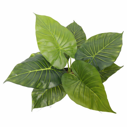 Artificial Potted Taro Plant / Elephant Ear 55cm.