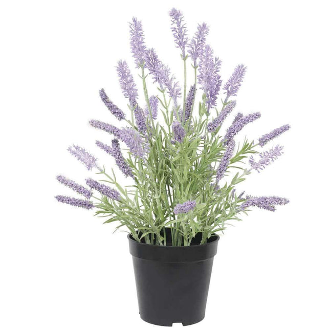 Appliances > Aroma Diffusers & Humidifiers > Aroma Diffusers.