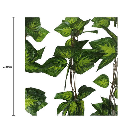Home & Garden Cartoz.