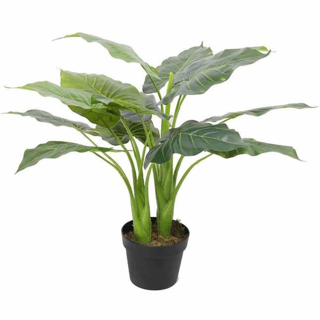 Artificial Potted Taro Plant / Elephant Ear 70cm.