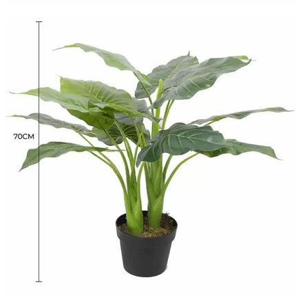 Artificial Potted Taro Plant / Elephant Ear 70cm.